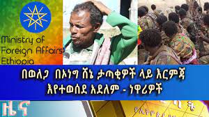 Ethiopia news today 2021 Amharic